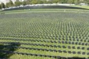 白宫外摆2万张椅子纪念新冠死者 每张椅子代表10名去世的患者