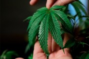 以传承创新助力中医药走向世界